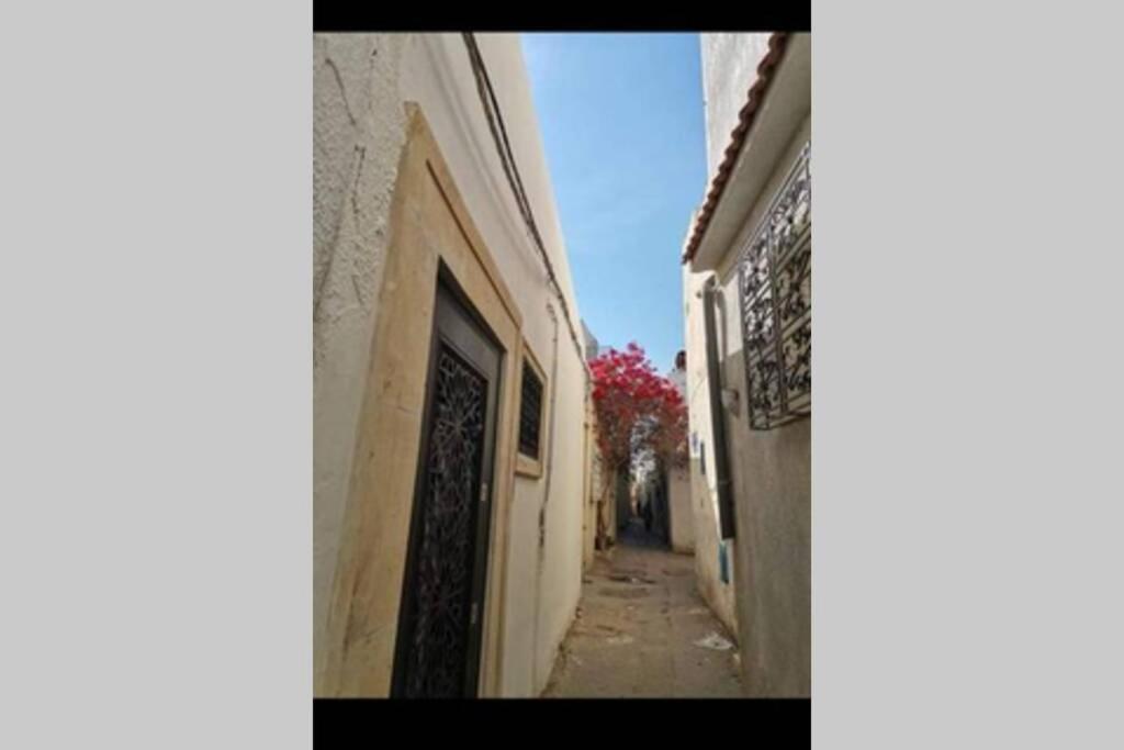 Dar El Halfaouine Apartment Tunis Exterior foto